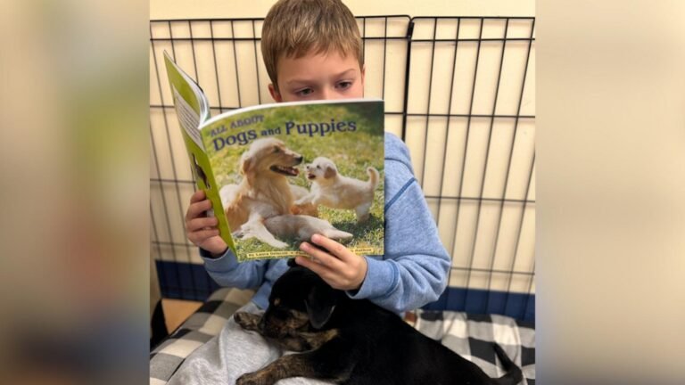 WATCH:  First grade class uses foster puppies to enhance their reading skills