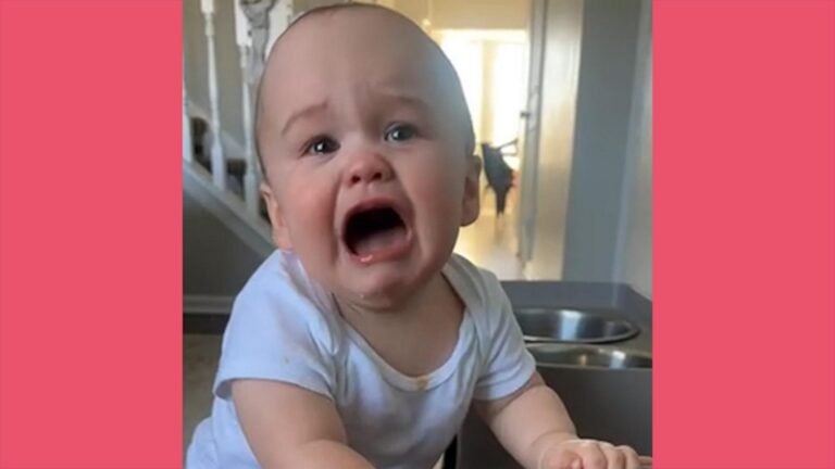 WATCH:  Baby has precious reaction to not being allowed to try dog's food