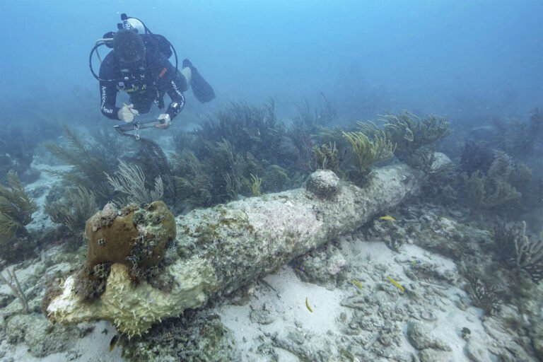 Researchers conclusively ID British warship that sank off Florida coast in 1742
