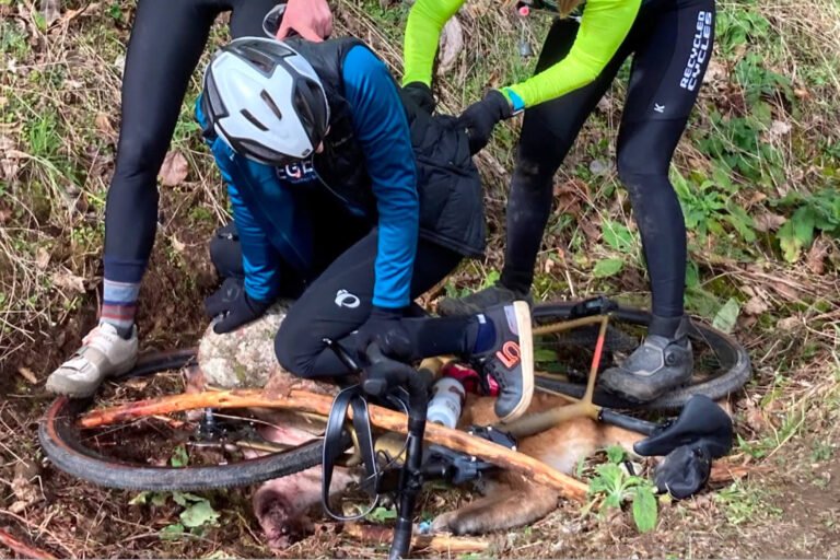 Women pinned cougar during 'hand-to-hand combat' to save friend trapped in its jaws