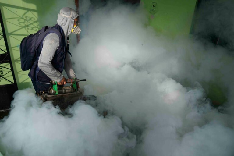 A record surge in dengue cases in Latin America spurs a warning for proactive measures