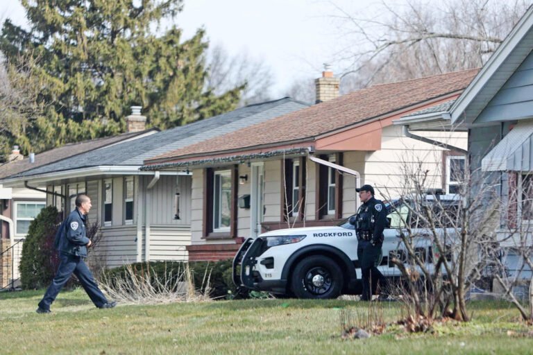 Good Samaritan in Illinois stabbing spree said 'human nature' made him help woman being attacked