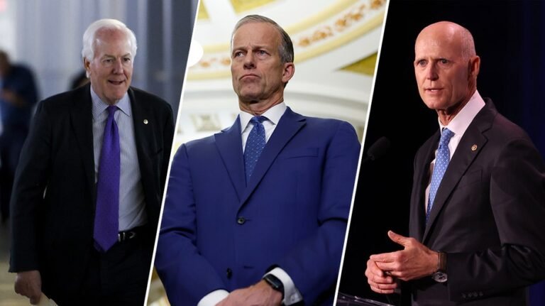 Senate Republicans are optimistic about potential McConnell successors