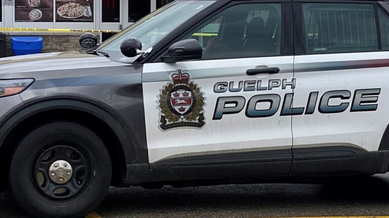 Employee threatened with a knife at an east end store in Guelph, police say