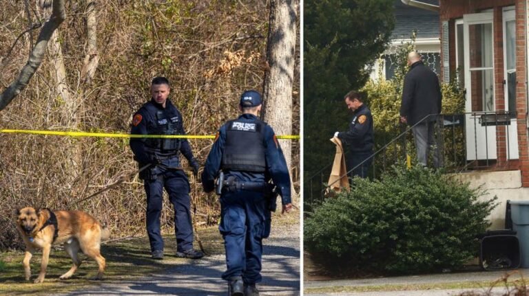 Officials rail against bail reform as 4 suspects charged, then let go in NY body mutilations case