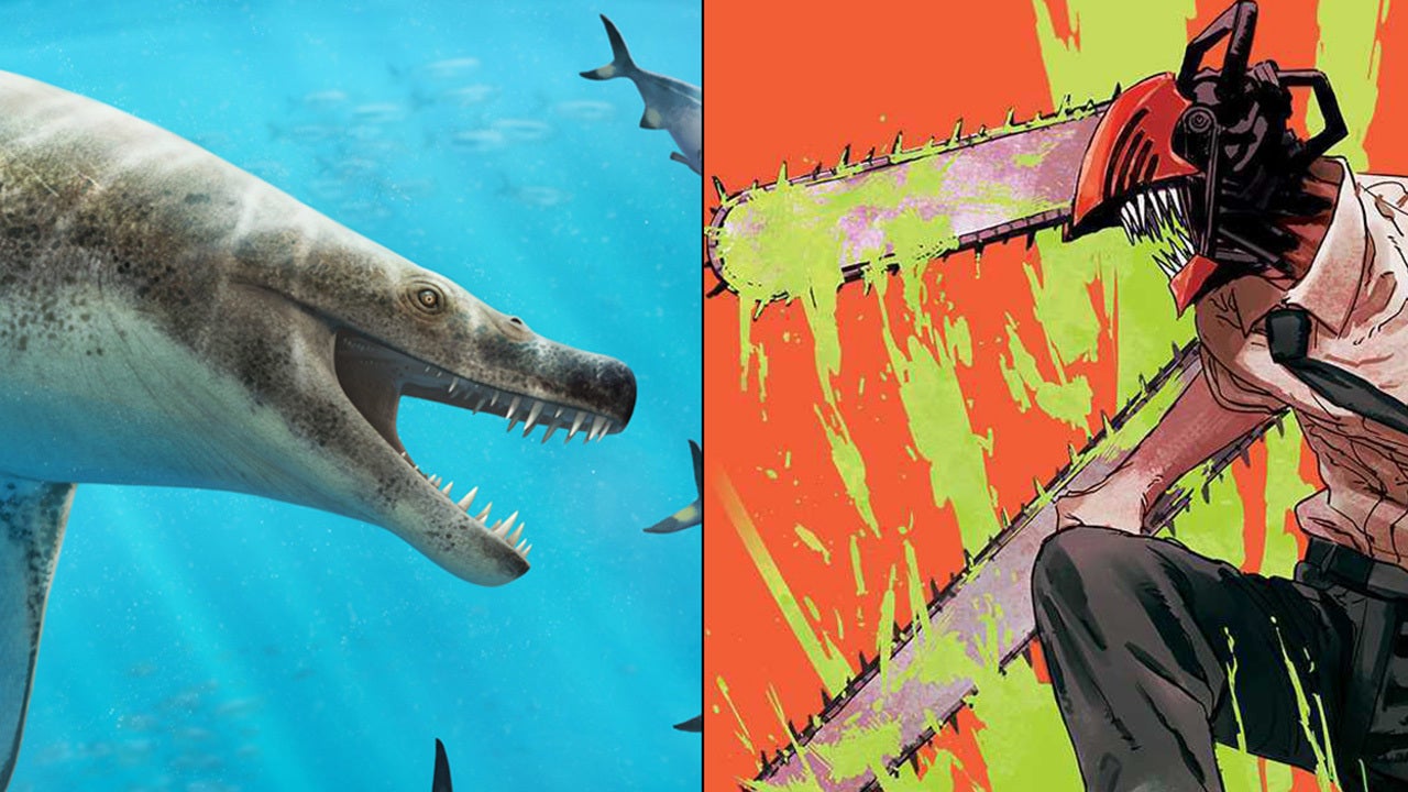 Paleontologists Discover 'Demonic' Ancient Marine Predator with Chainsaw Man Vibes