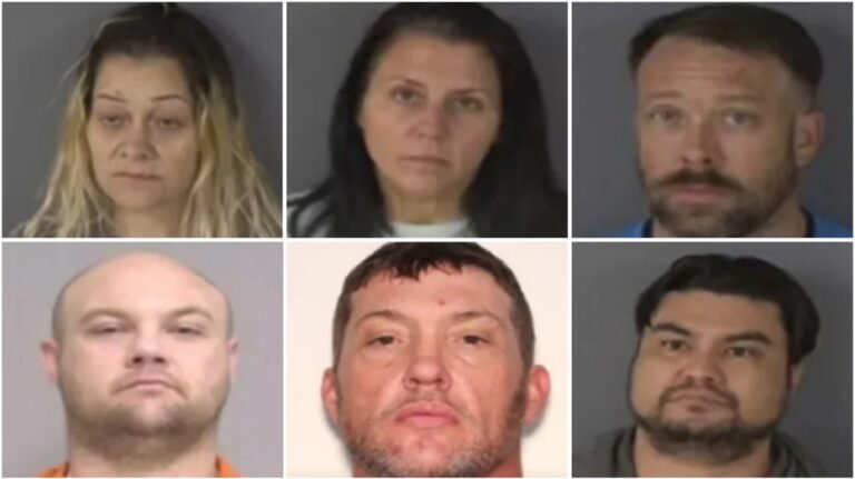 Florida authorities arrest alleged retail theft ring members accused of stealing $90K worth of goods