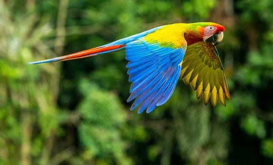 Senior officials call for action and solutions at UN Environment Assembly