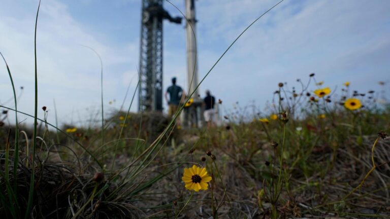 Texas approves land-swapping deal with SpaceX as company hopes to expand rocket-launch operations