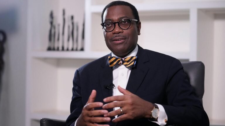 African Development Bank chief criticizes opaque loans tied to Africa's natural resources