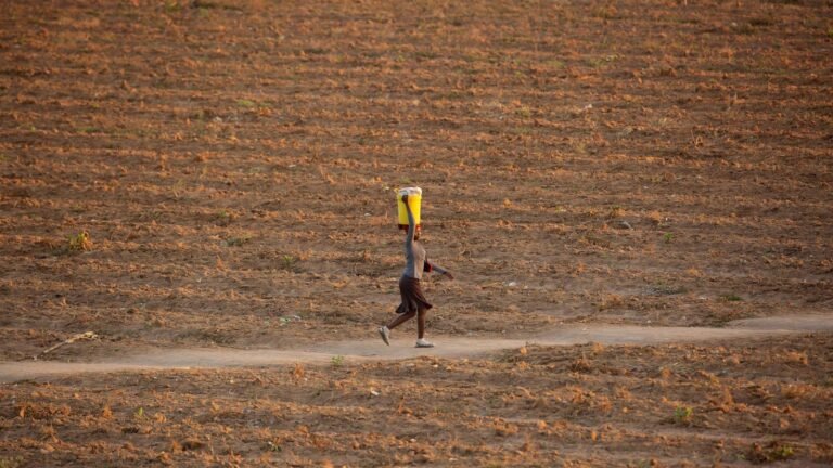 UN warns of climate change impact on farms and rural households run by women in poor countries