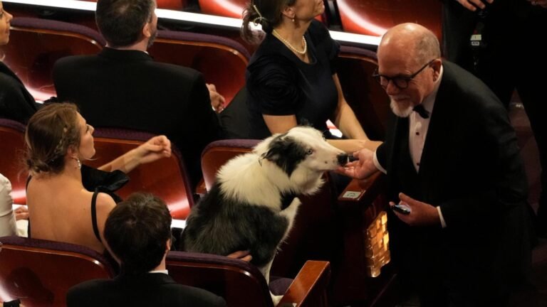 Messi the celebrity dog made it to the Oscars. Here's how the show pulled off his (clapping) cameo