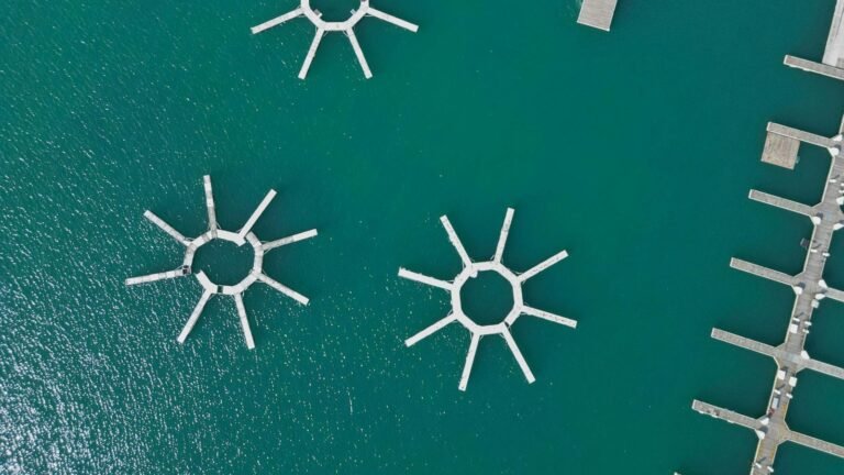 Fewer fish and more algae? Scientists seek to understand impacts of historic lack of Great Lakes ice