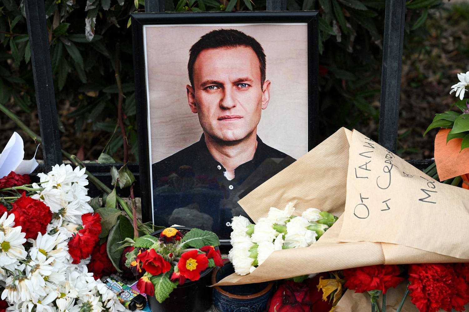 Putin likely did not directly order Navalny’s killing, U.S. intelligence agencies conclude