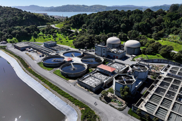 Bird flu virus possibly found in a handful of wastewater sites, CDC says