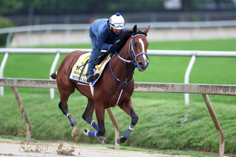 Mystik Dan enters the Preakness Stakes as the favorite after winning Kentucky Derby