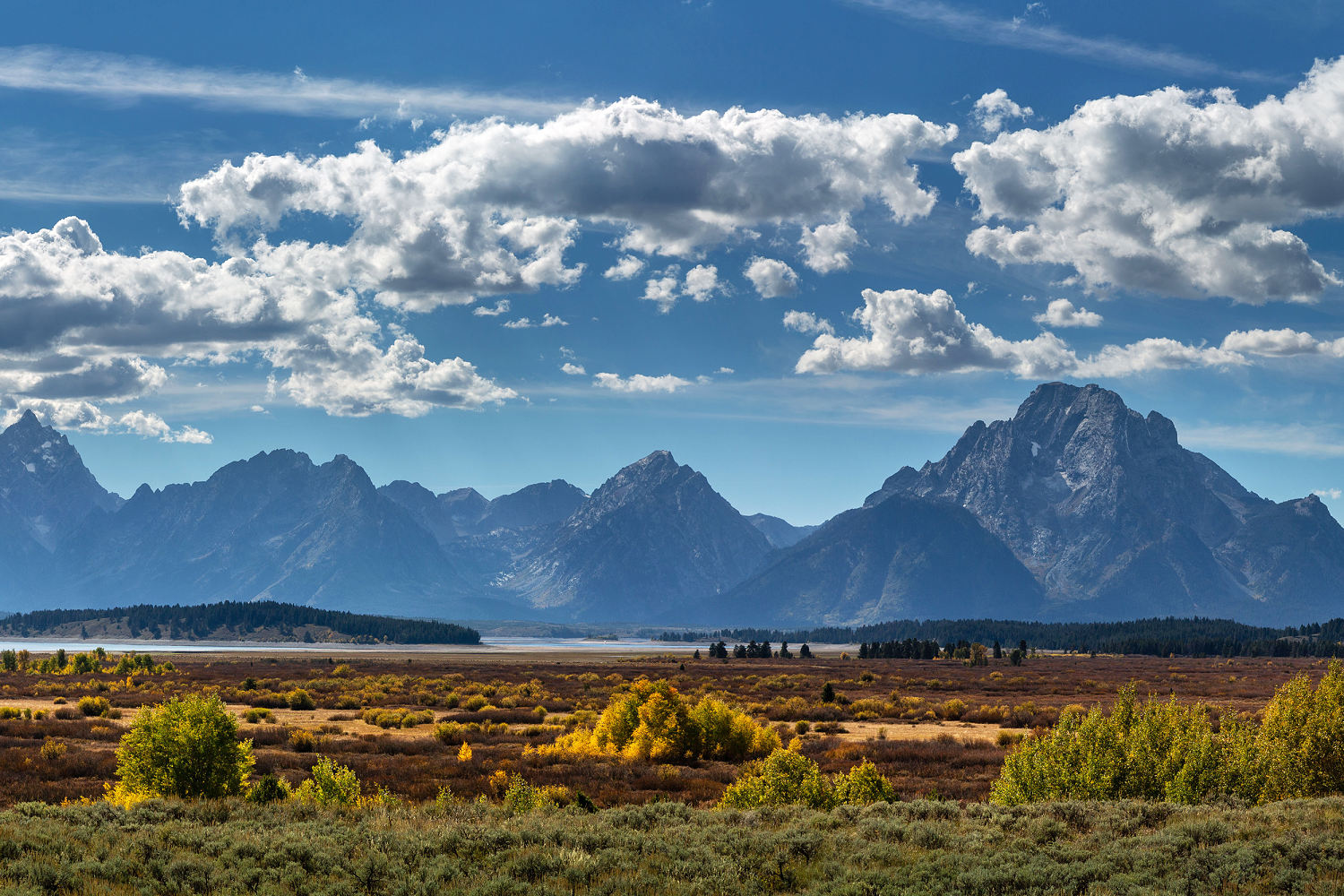 Grizzly attack prompts closure of a mountain in Grand Teton
