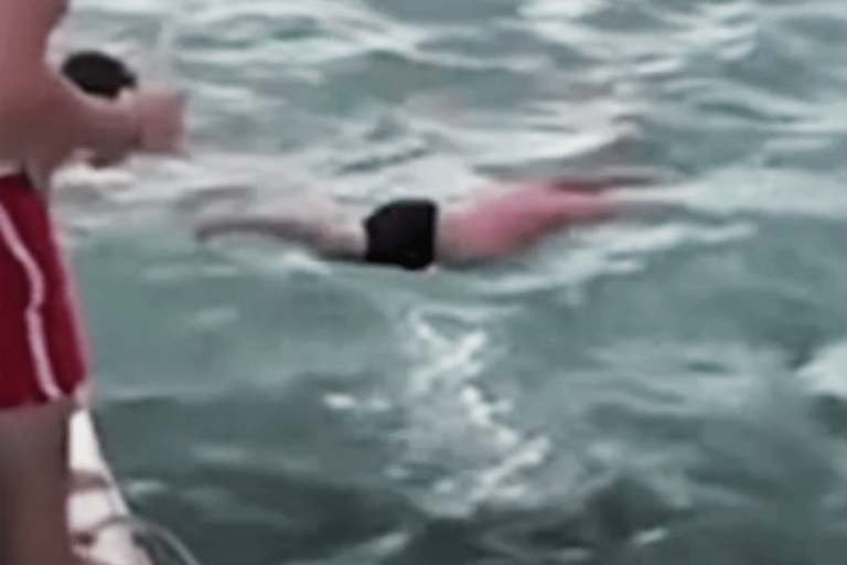 Man is fined for trying to ‘body slam’ killer whale