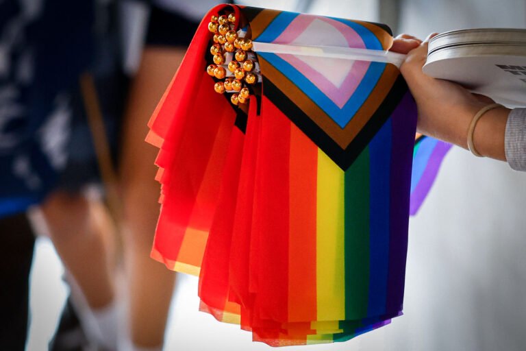Police investigating theft of over 200 pride flags in Massachusetts
