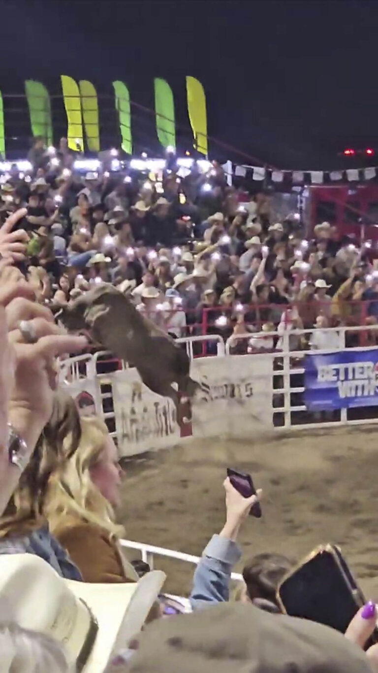 4 injured as bull escapes arena and charges into spectators at Oregon rodeo