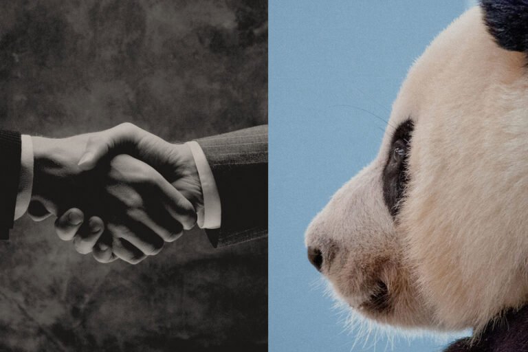 China's panda superfans can't bear the return of panda diplomacy