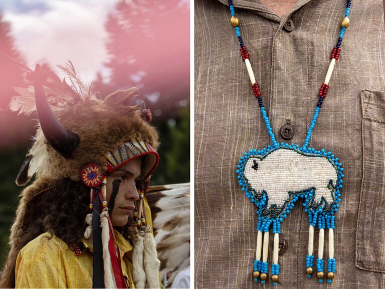 In a rare white buffalo calf, Indigenous tribes hear a 'loud and clear' warning