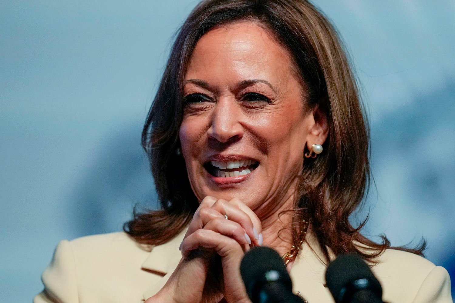 Harris officially has no challengers for the Democratic presidential nomination