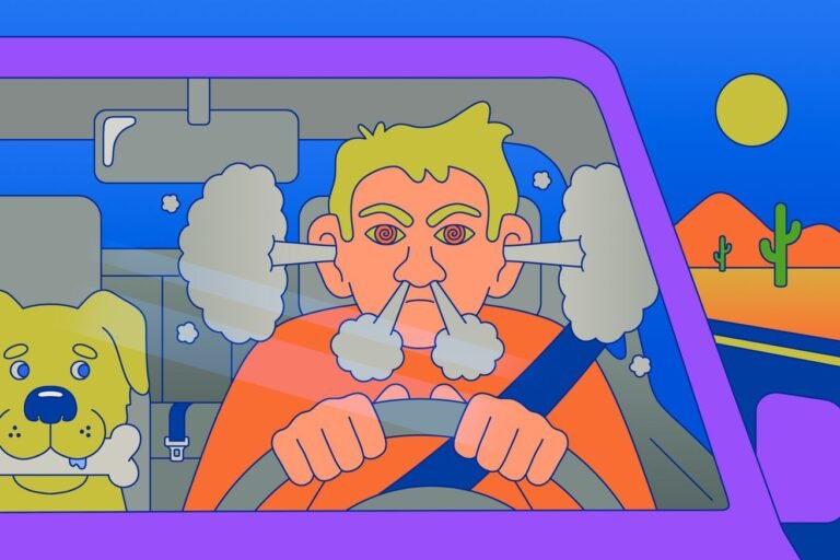 How to manage a road trip move