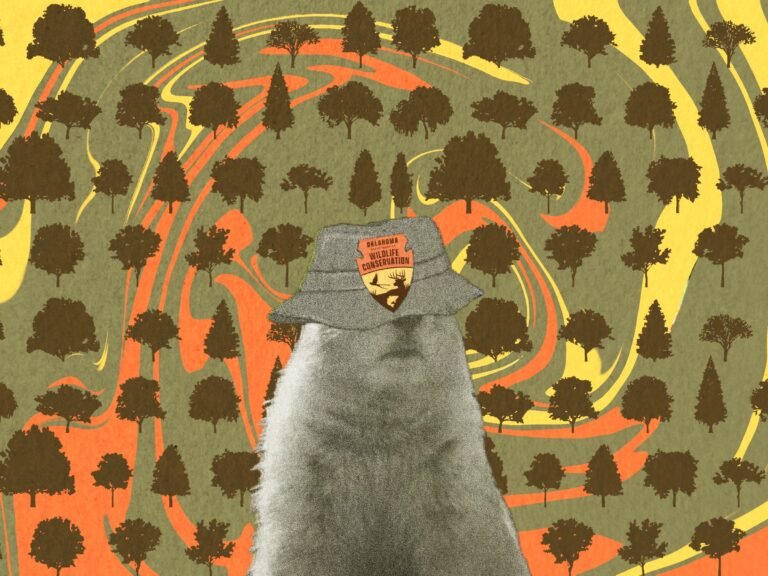 The Genius Behind @OKWildlifeDept's Most Viral Tweets Is Signing Off