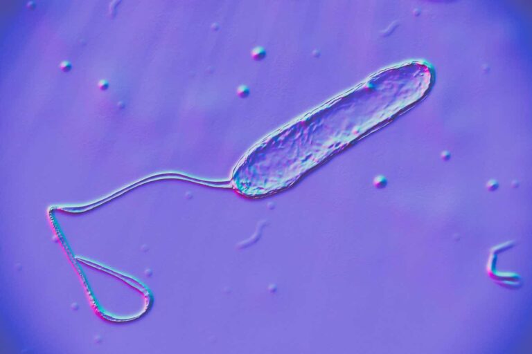 Retinol's anti-ageing effects may work by changing your skin microbes