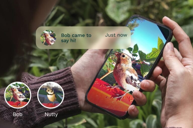Bird Buddy’s new AI update lets you name your backyard’s frequent flyers