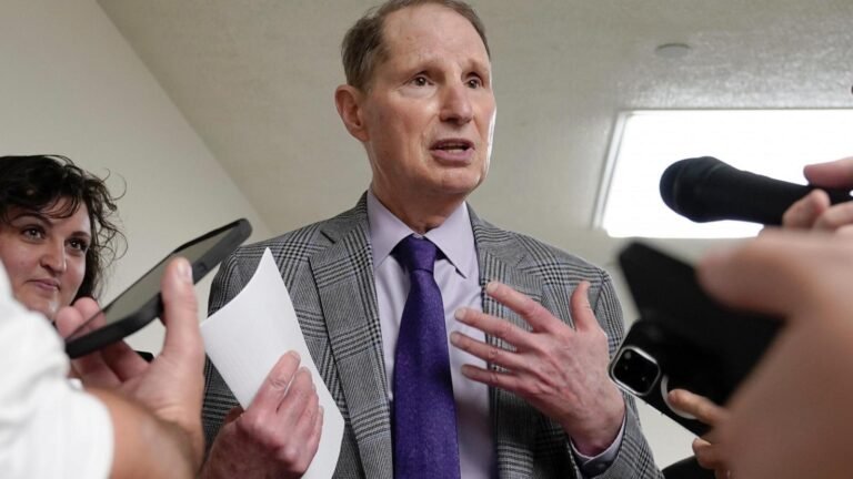 US senators call out Big Tech's new approach to poaching talent, products from smaller AI startups