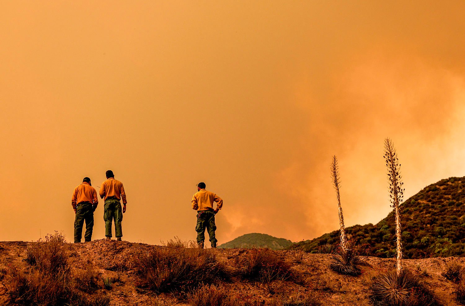 U.S. Forest Service pauses seasonal employee hiring amid budget shortfall