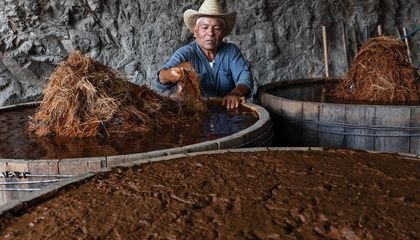 The Race to Save Mezcal From the World