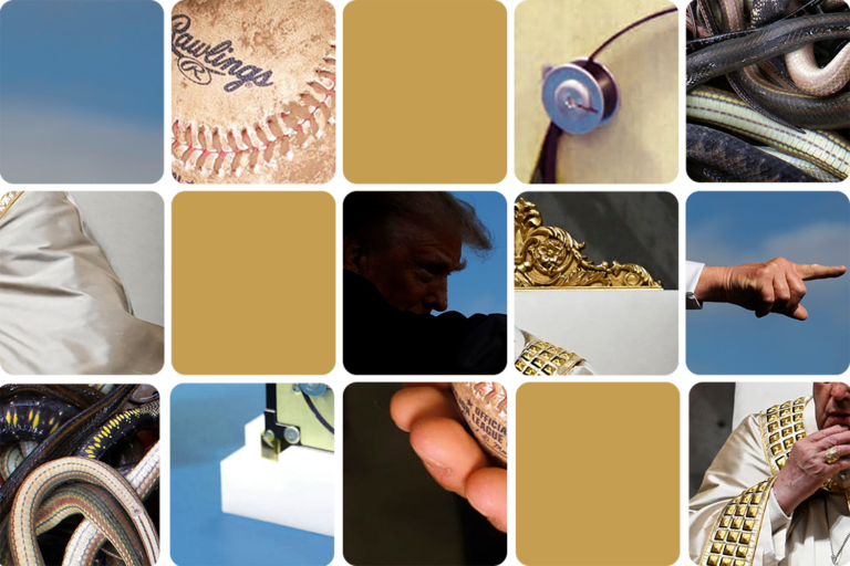 The Pope's online blunder and an animal breakout: The weekly news quiz 