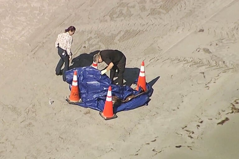 Human head that washed ashore in South Florida belonged to missing swimmer