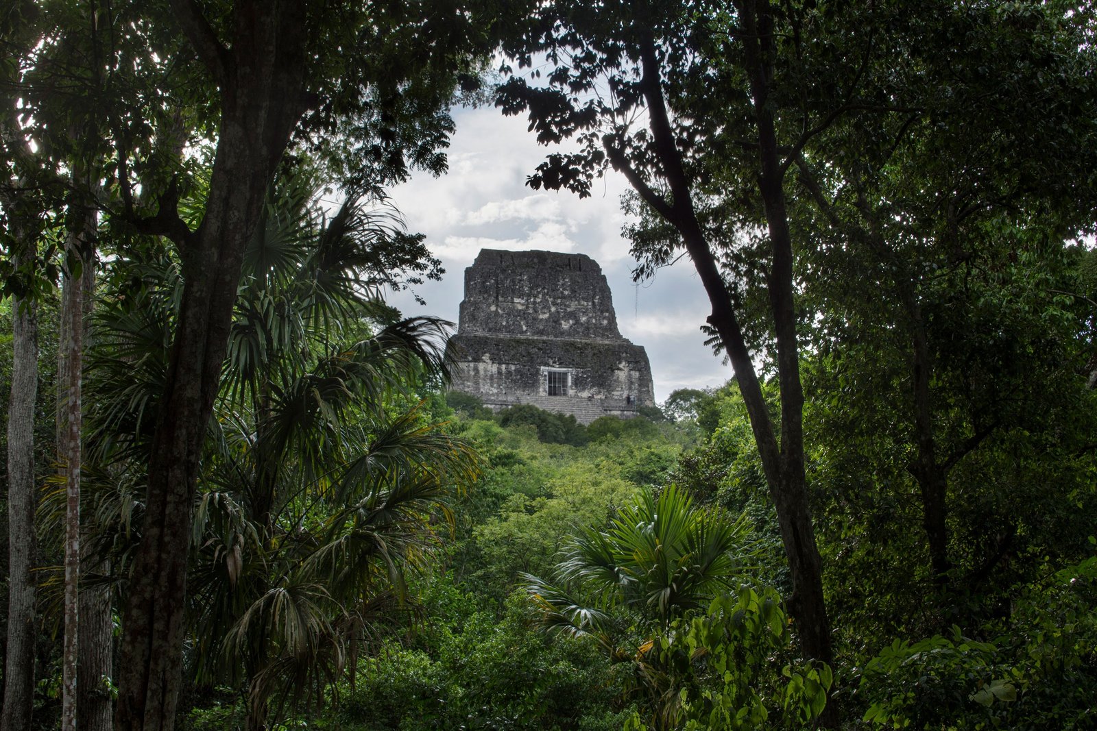 How a PhD Student Discovered a Lost Mayan City From Hundreds of Miles Away