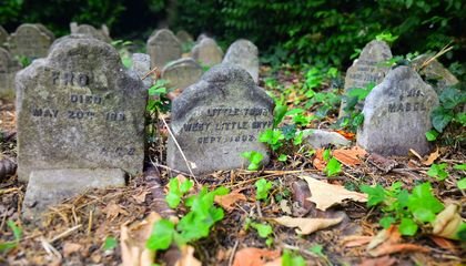 Why the World’s First Pet Cemetery Was Revolutionary